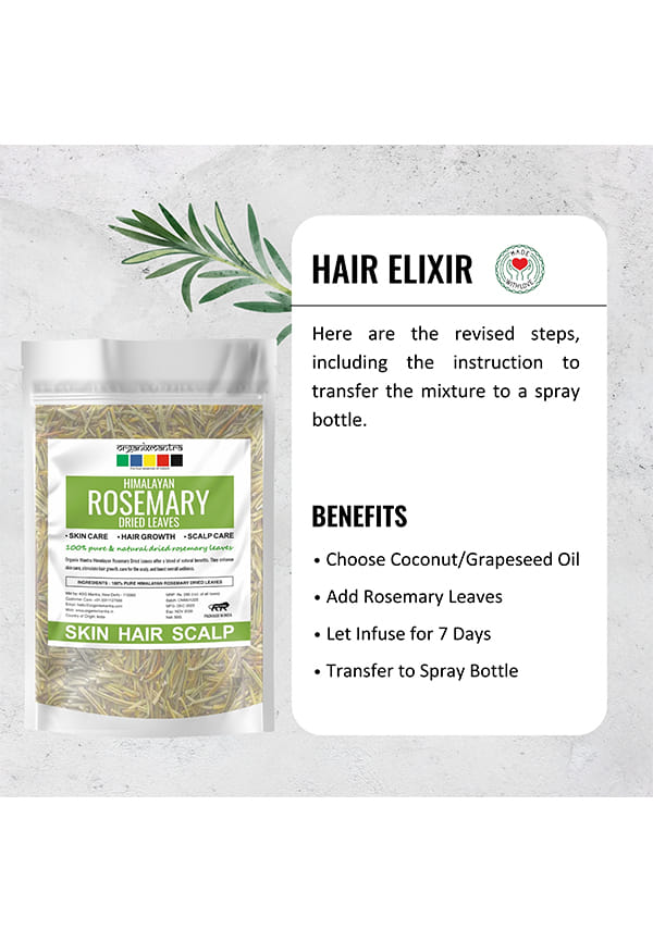 Himalayan Rosemary Dried Leaves | Rosemary Hair Tonic – thumbnail 2