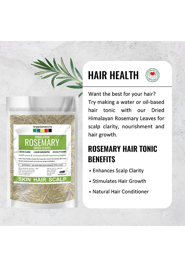 Himalayan Rosemary Dried Leaves | Rosemary Hair Tonic – thumbnail 3