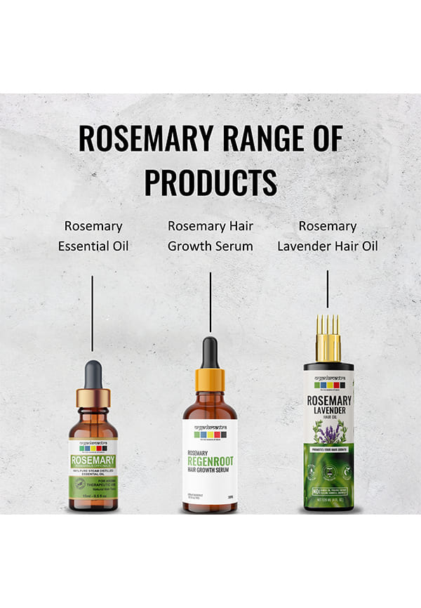 Himalayan Rosemary Dried Leaves | Rosemary Hair Tonic – thumbnail 5