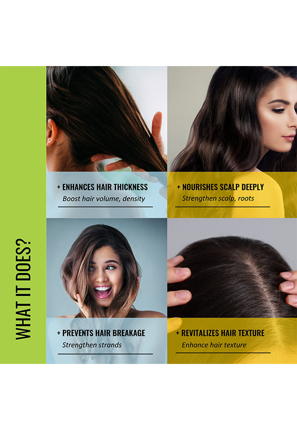 Rosemary & Methi Dana Hair Nourishment Oil | Advanced Scalp Nourishment Oil – thumbnail 2