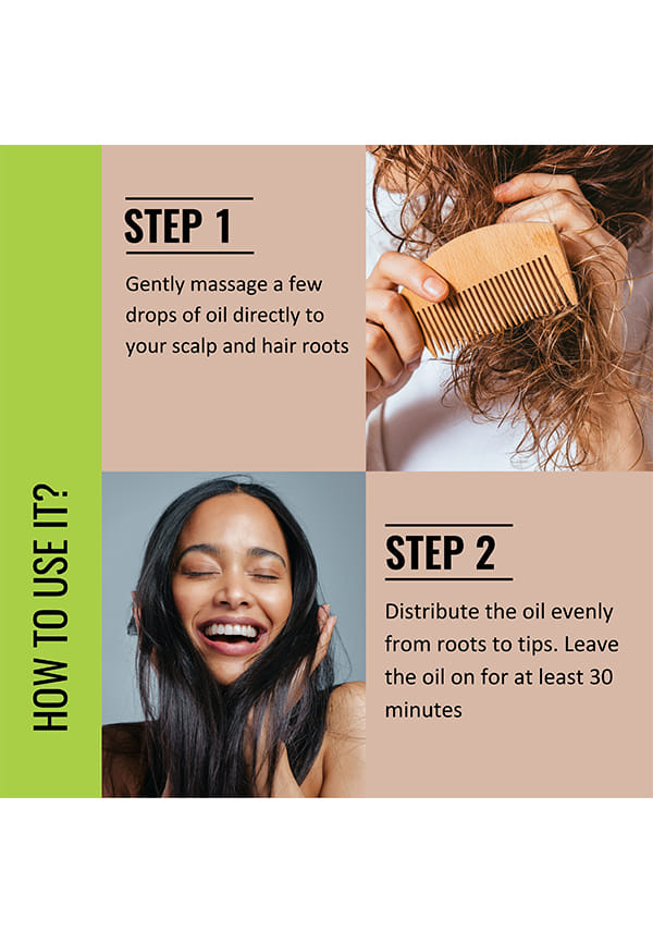 Rosemary & Methi Dana Hair Nourishment Oil | Advanced Scalp Nourishment Oil – thumbnail 4