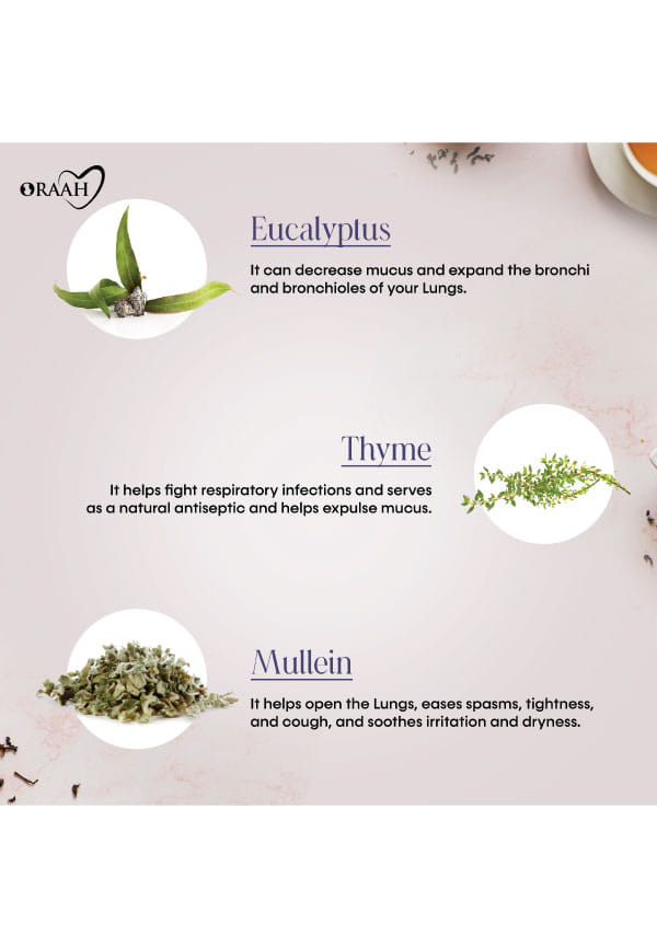 Lungs Cleanse Tea – thumbnail 4