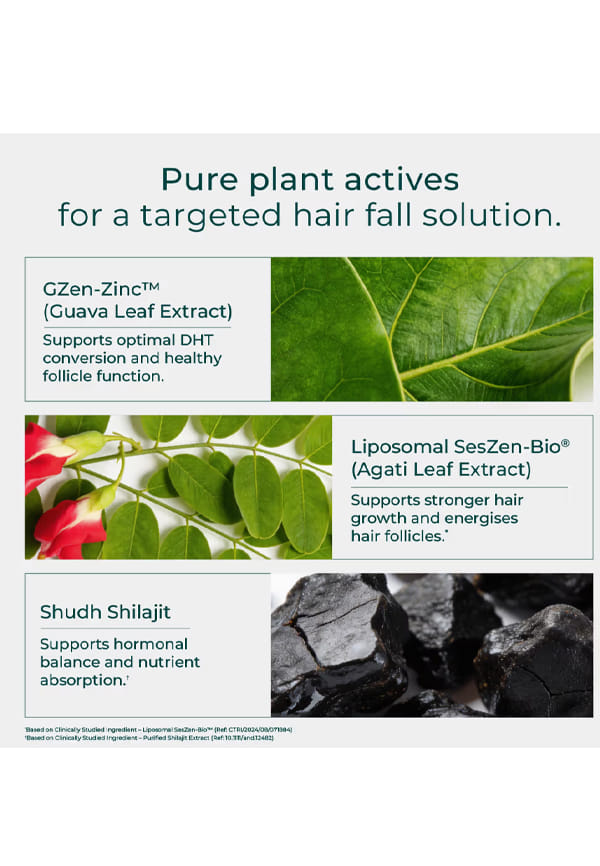 Hair Actives + Shilajit For Men Hair Supplement With Liposomal – thumbnail 3