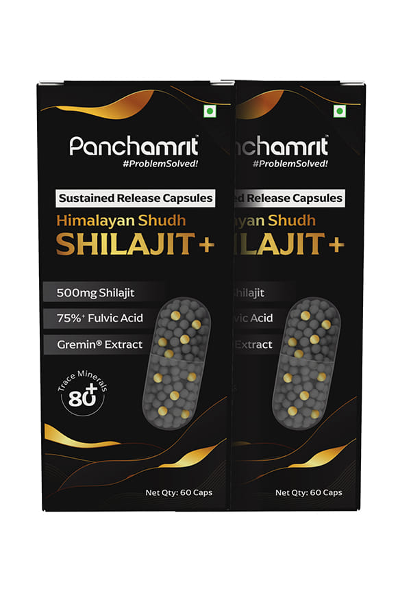 8 hrs Sustained Release Capsule 500mg Himalayan Shilajit+ with Gremin® Extract | Daily Energy Boost, Faster Muscle Recovery