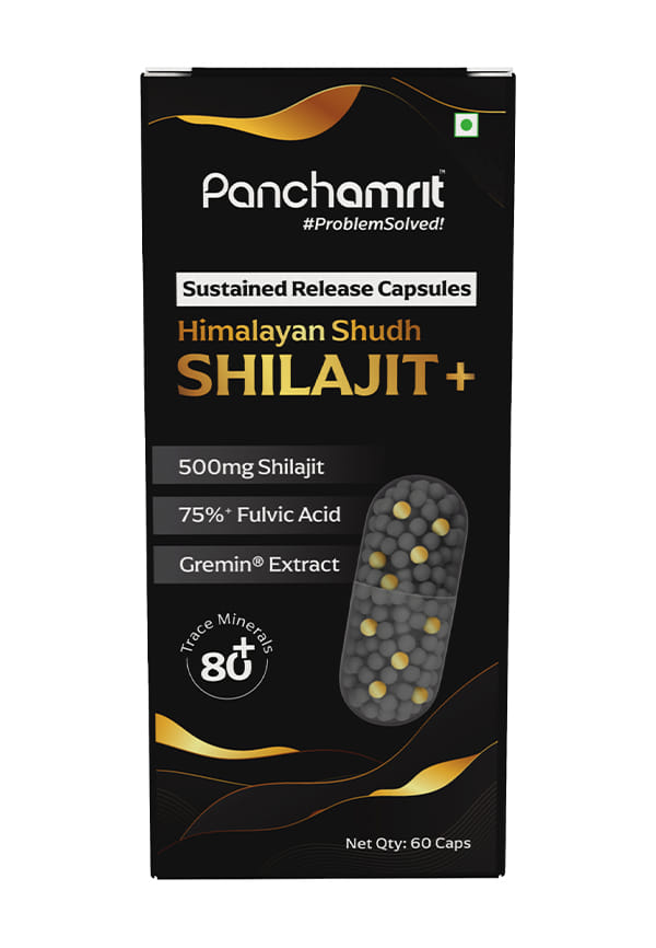 8 hrs Sustained Release Capsule 500mg Himalayan Shilajit+ with Gremin® Extract | Daily Energy Boost, Faster Muscle Recovery