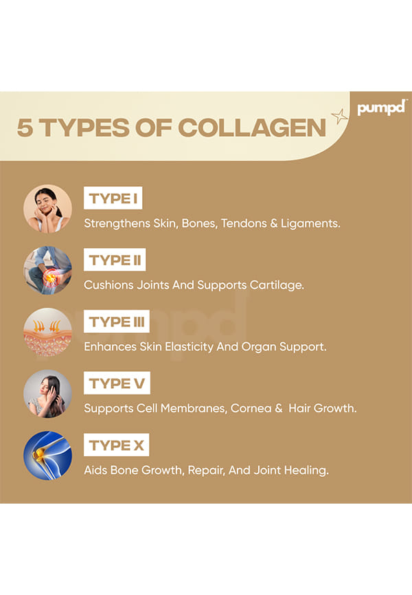 Multi Collagen For Women & Men – thumbnail 5