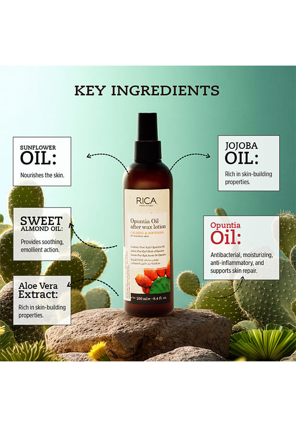 Opuntia Oil After Wax Lotion – thumbnail 3