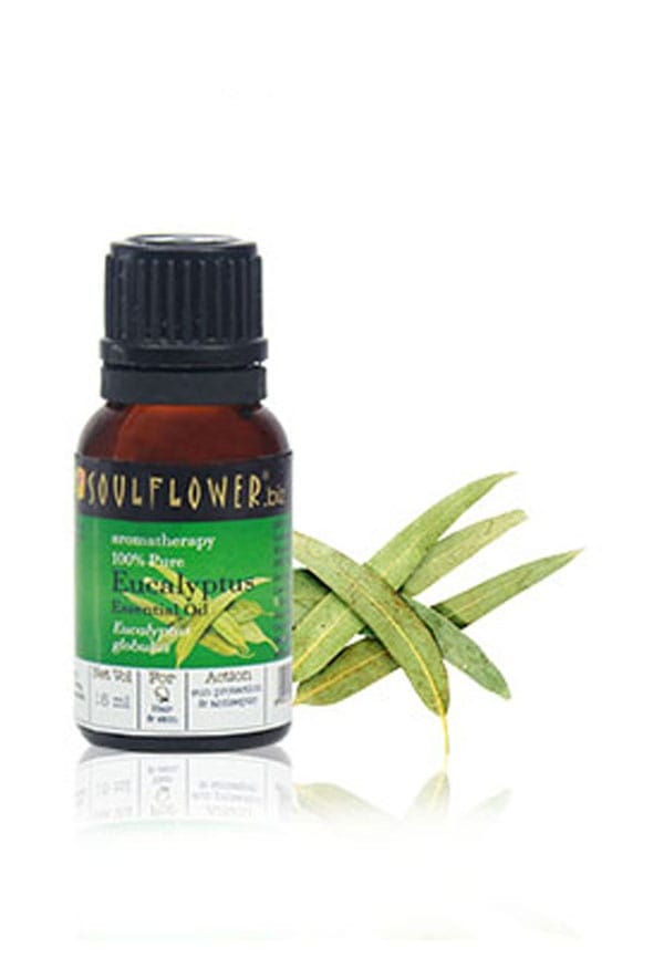 Essential Oil Eucalyptus Essential Oil Eucalyptus