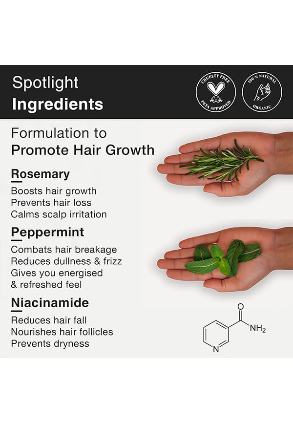 Mint Extract – thumbnail 4