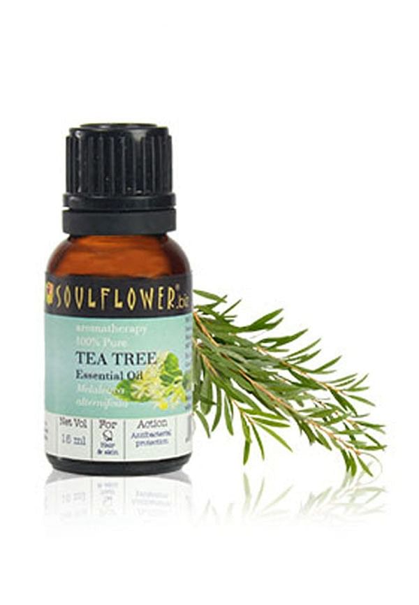 Essential Oil TeaTree