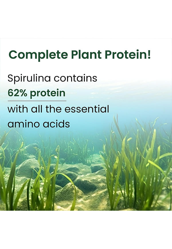 Spirulina Powder | For Men & Women | Contains 62% Protein I Natural Superfood | Rich in Protein, Vitamins & Minerals | Boost Energy & Immunity | Support Digestion & Skin health – thumbnail 4