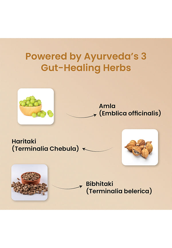 Triphala Powder | Triphala Churna For Gut, Immune & Intestinal Health | Colon & Digestion, For Balanced Bowel & Gut Health, Contains Bioactives and Antioxidants, GMP & NPOP Certified Organic I Helps Relieve Constipation | Herbal Supplement | Quick Acidity & Gas Relief – thumbnail 5