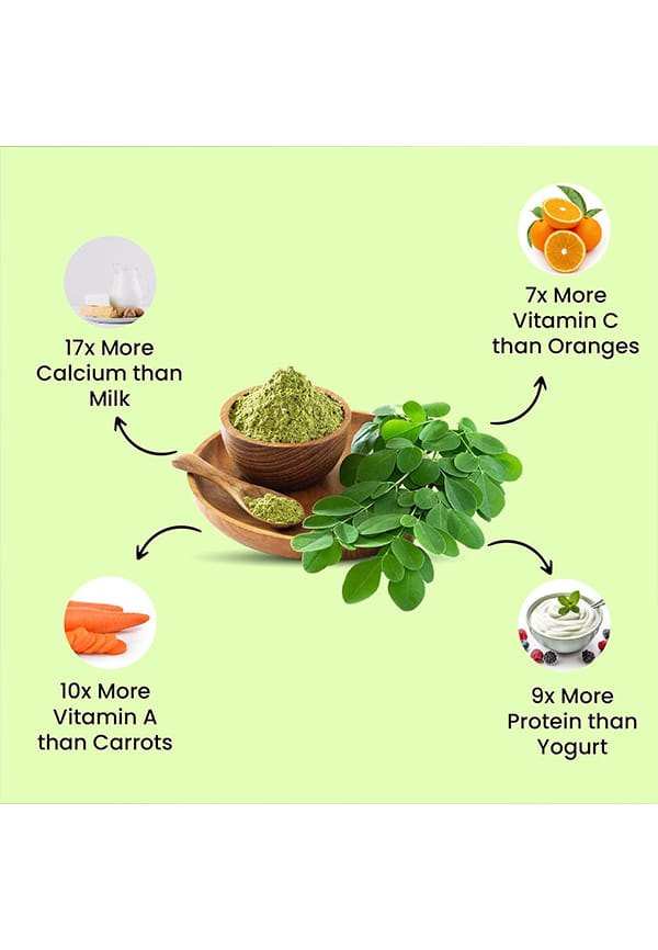 100% Organic Certified Moringa Powder - Natural Superfood with 120+ Nutrients, Antioxidants & Vitamins - Drumstick Leaf powder | Herbal Supplement I for Immunity, Digestion & Energy I Rich In Antioxidant & Protein – thumbnail 4