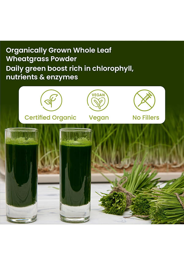100% Natural Organic Wheatgrass Powder | USDA Certified I Wheat Grass Powder | Organic Wheatgrass Juice | Ayurvedic Support For Natural Detox | Immunity Booster | Herbal Supplement – thumbnail 3