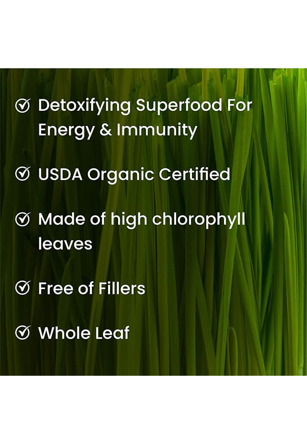 100% Natural Organic Wheatgrass Powder | USDA Certified I Wheat Grass Powder | Organic Wheatgrass Juice | Ayurvedic Support For Natural Detox | Immunity Booster | Herbal Supplement – thumbnail 4
