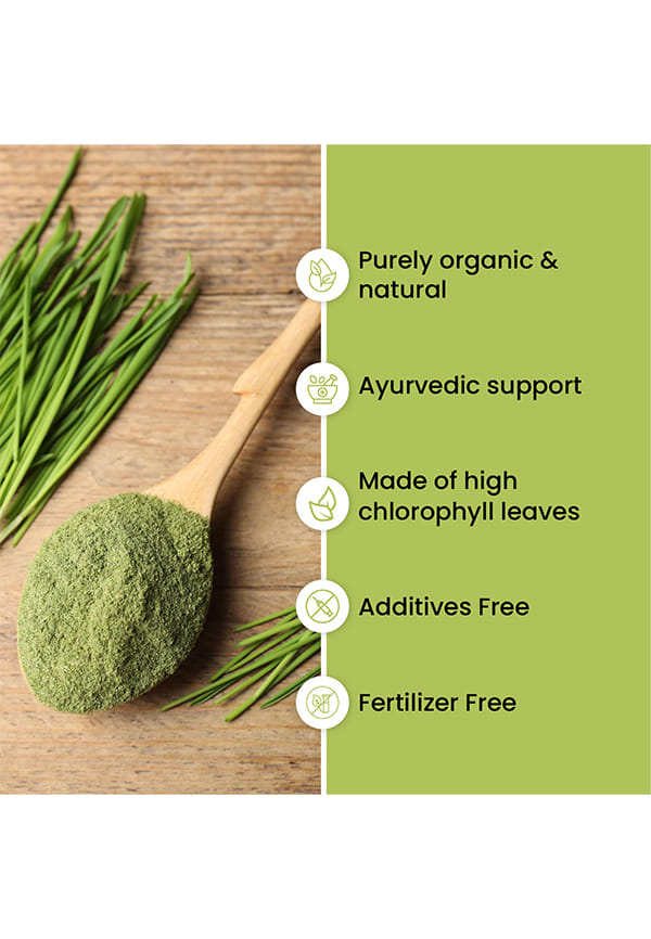 100% Natural Organic Wheatgrass Powder | USDA Certified I Wheat Grass Powder | Organic Wheatgrass Juice | Ayurvedic Support For Natural Detox | Immunity Booster | Herbal Supplement – thumbnail 6