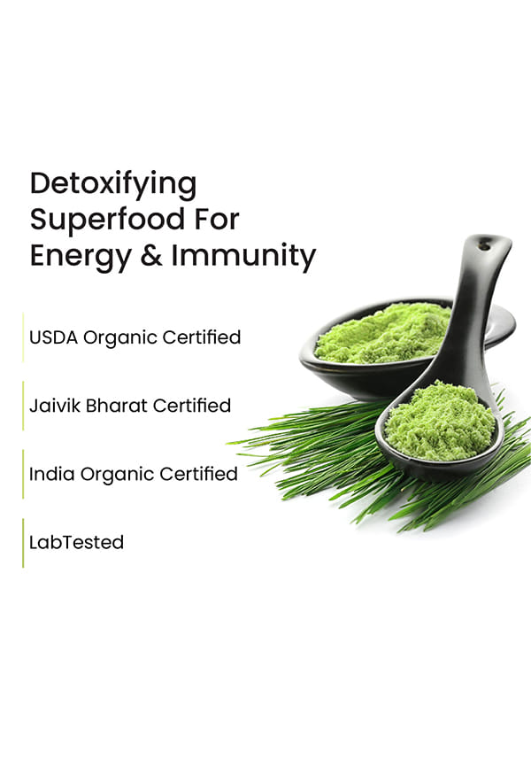 100% Natural Organic Wheatgrass Powder | USDA Certified I Wheat Grass Powder | Organic Wheatgrass Juice | Ayurvedic Support For Natural Detox | Immunity Booster | Herbal Supplement – thumbnail 8