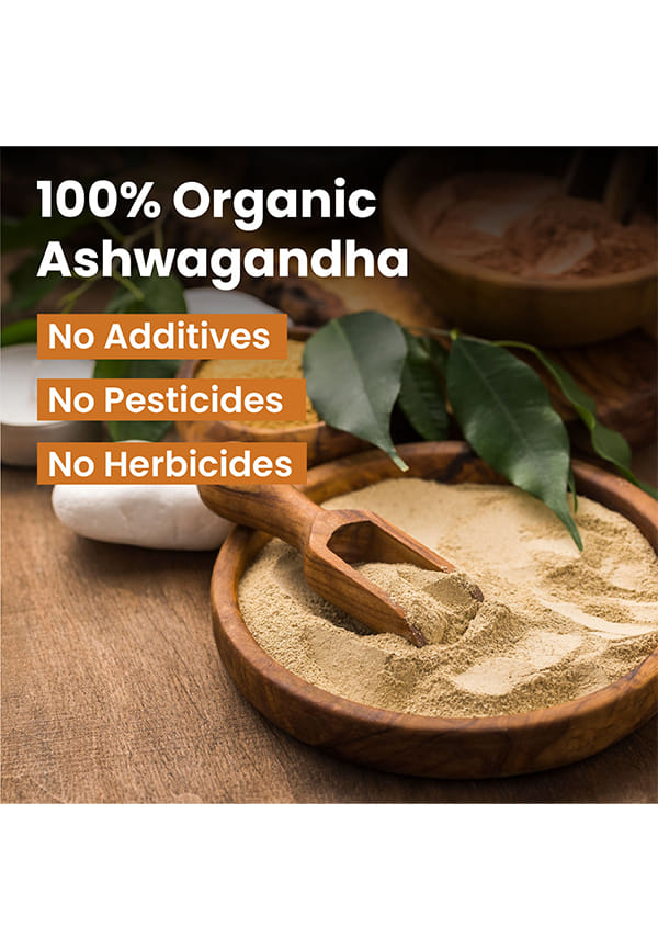 100% Organic Ashwagandha Powder 100gm - Withania Somnifera | Pure Ashwagandha Powder Organic -Support Muscle Recovery & Boost Energy Level | USDA Certified Ashwagandha Supplements for Vitality, Strength & Stress Management – thumbnail 6