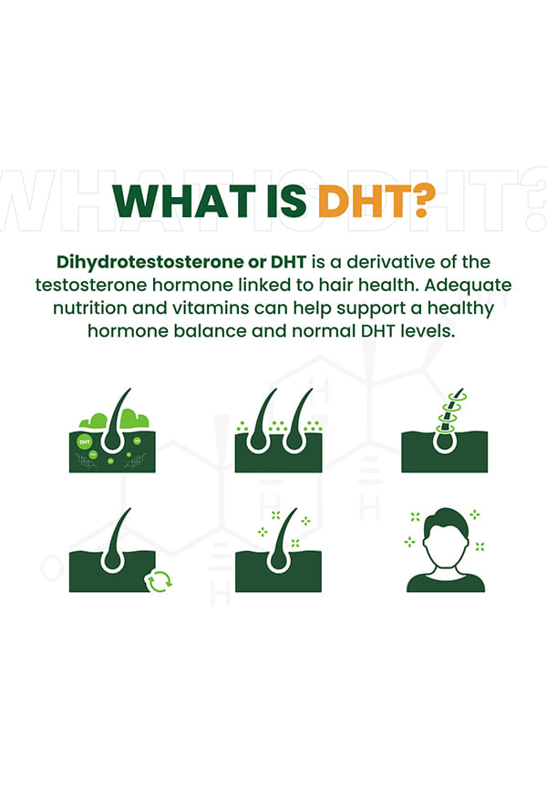 Plant Based DHT Blocker | Nettle Extract – thumbnail 6
