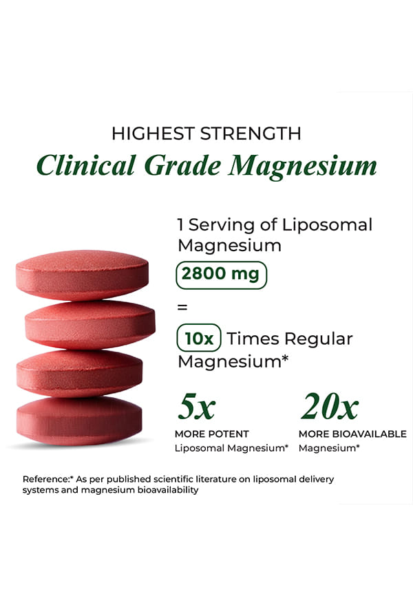 Vlado's Himalayan Organics Plant Based Magnesium Supplement 1360mg With Turmeric Spirulina, Wheatgrass, Moringa | Supports Bone Muscle & Bone Health | Boost Energy Level - 60 Veg Tablets – thumbnail 4