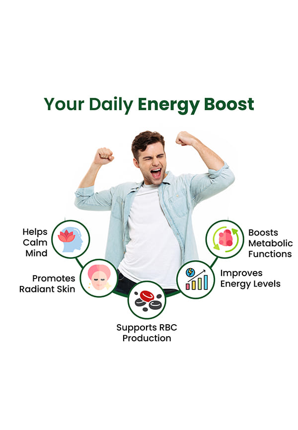 Vlado's Himalayan Organics Vitamin B Complex with 100% RDA – thumbnail 6