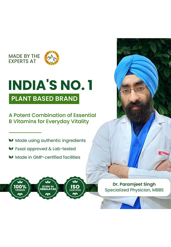 Vlado's Himalayan Organics Vitamin B Complex with 100% RDA – thumbnail 8