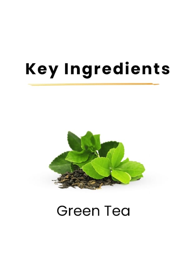 Green Tea Cleanser – thumbnail 3
