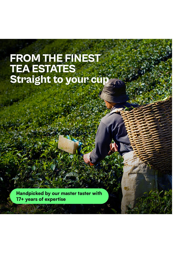 Darjeeling Summer Glory Black Tea – thumbnail 6