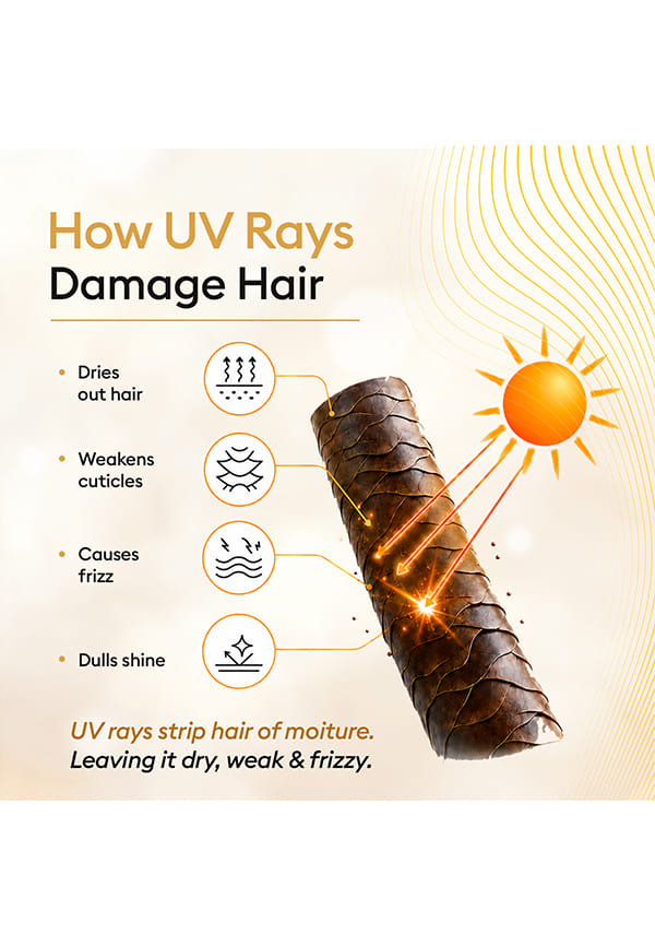 Damage Repair Hair Serum SPF 50 with Ceramide & Argan Oil – thumbnail 6
