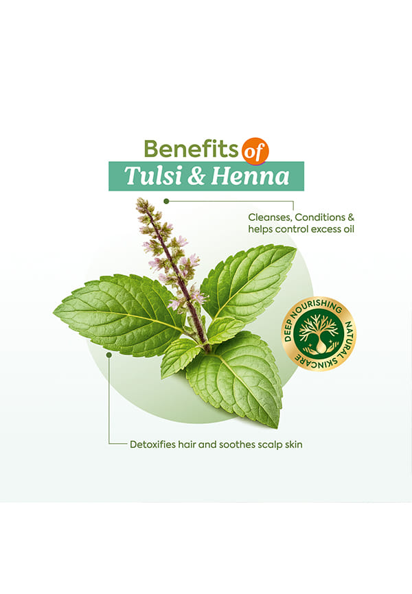 Henna & Tulsi Shampoo – thumbnail 2