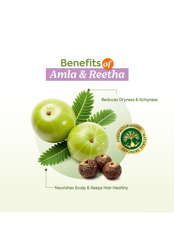 Amla Reetha Shampoo – thumbnail 2