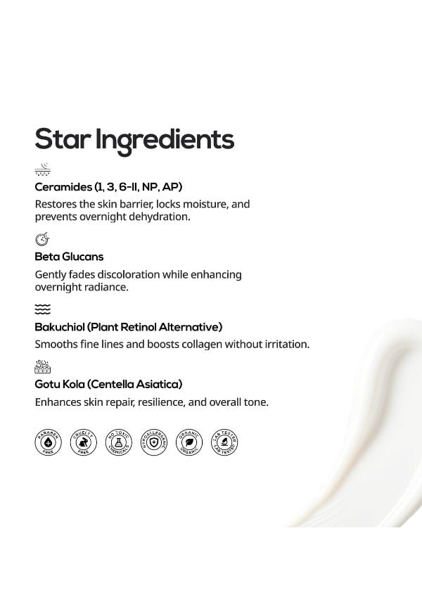 Multi Vitamin Ceramide Repair Night Cream | Ceramide Complex, Bakuchiol & Beta Glucans | For Barrier Restoration, Skin Recovery & Deep Nourishment | For Men & Women | 30g – thumbnail 4
