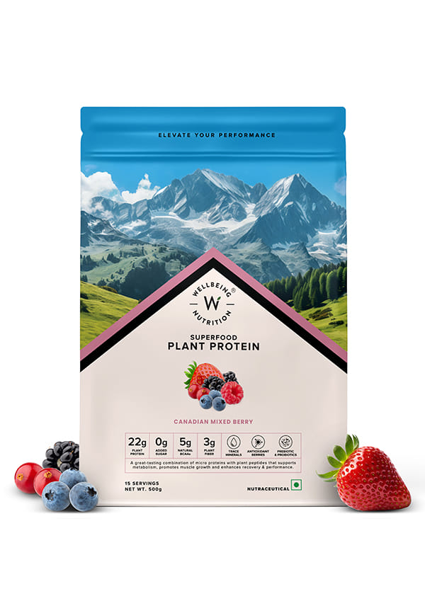 Organic Vegan Plant Protein Isolate Powder