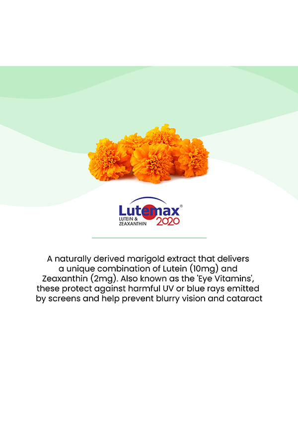Melts Eye Care Vitamins with Lutemax® – thumbnail 6