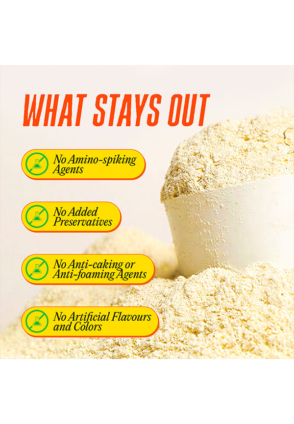 Ultimate Whey with Fermented Yeast Protein, Unflavored – thumbnail 7