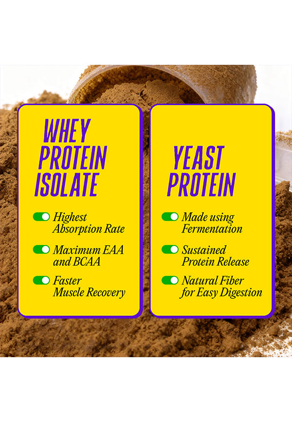 Ultimate Whey with Fermented Yeast Protein, Chocolate – thumbnail 5