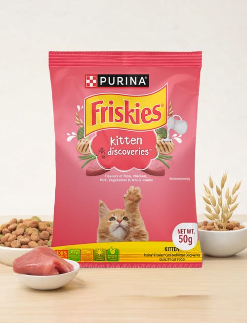 Kitten Discoveries Kitten Discoveries