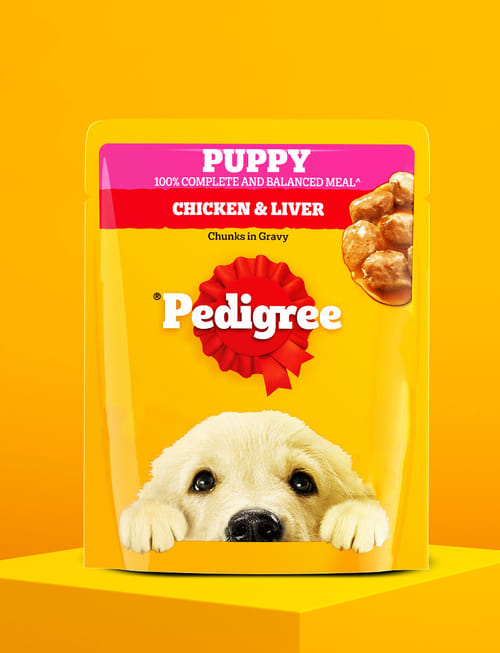 Chicken And Liver Chunks In Gravy (Puppy)