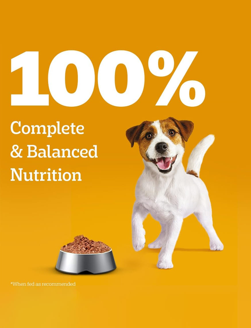 Chicken And Liver Chunks In Gravy (Puppy) – thumbnail 5