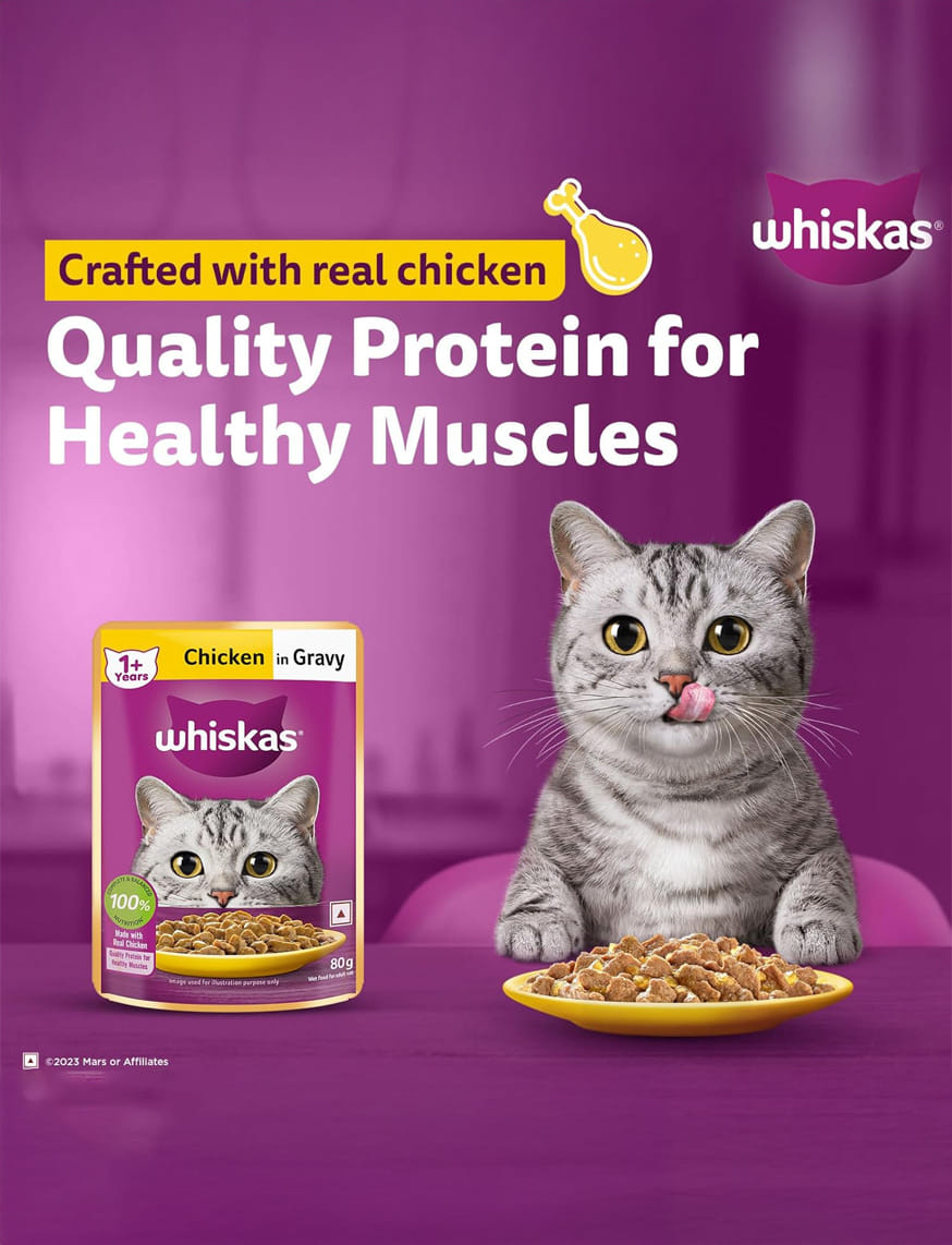 Chicken In Gravy (1+ Years) – thumbnail 6