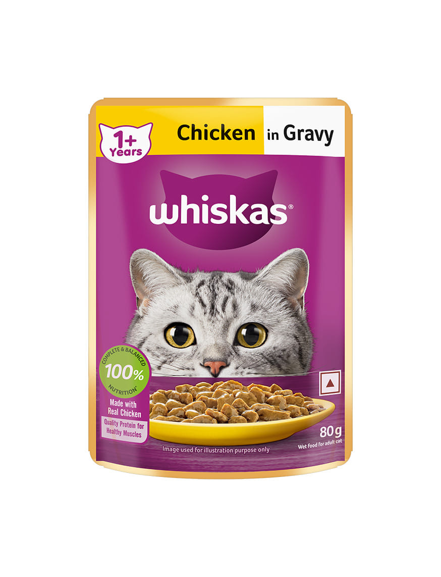 Chicken In Gravy (1+ Years) – thumbnail 13