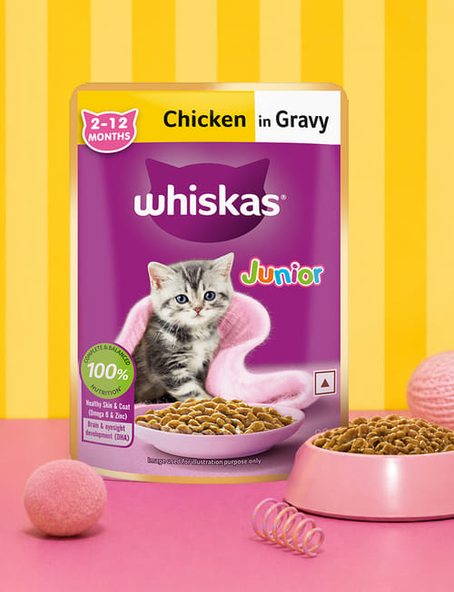 Chicken In Gravy (2-12 Months)