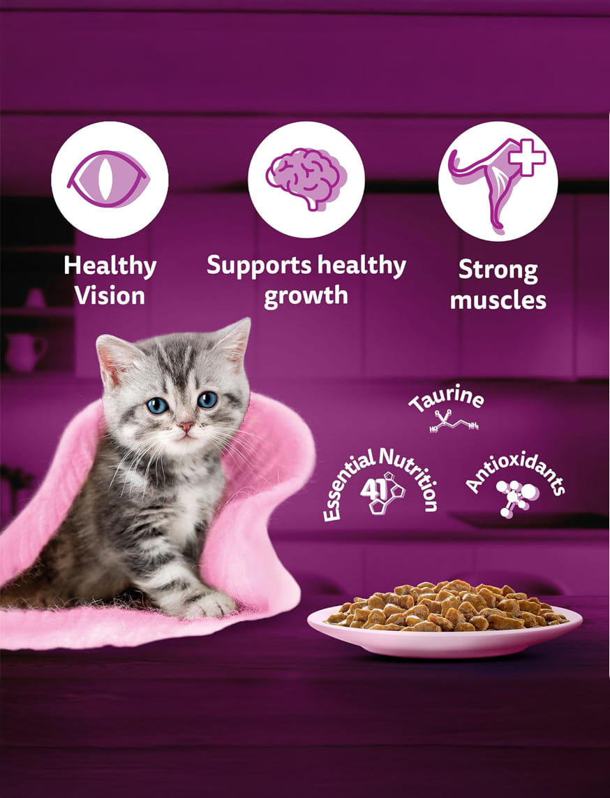 Chicken In Gravy (2-12 Months) – thumbnail 4