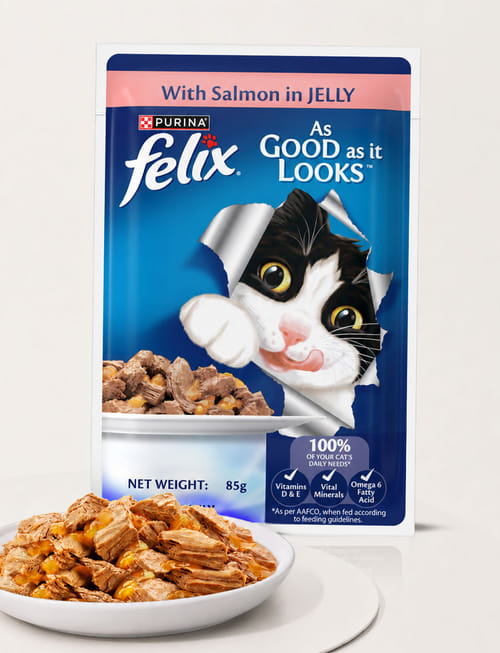 Purina Felix With Salmon In Jelly