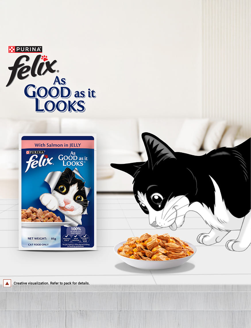 Purina Felix With Salmon In Jelly – thumbnail 2
