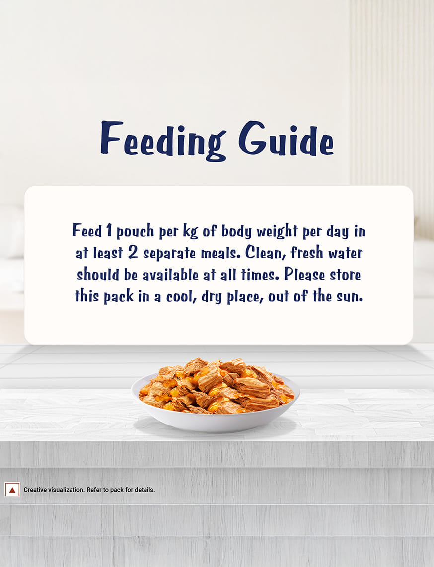 Purina Felix With Salmon In Jelly – thumbnail 4