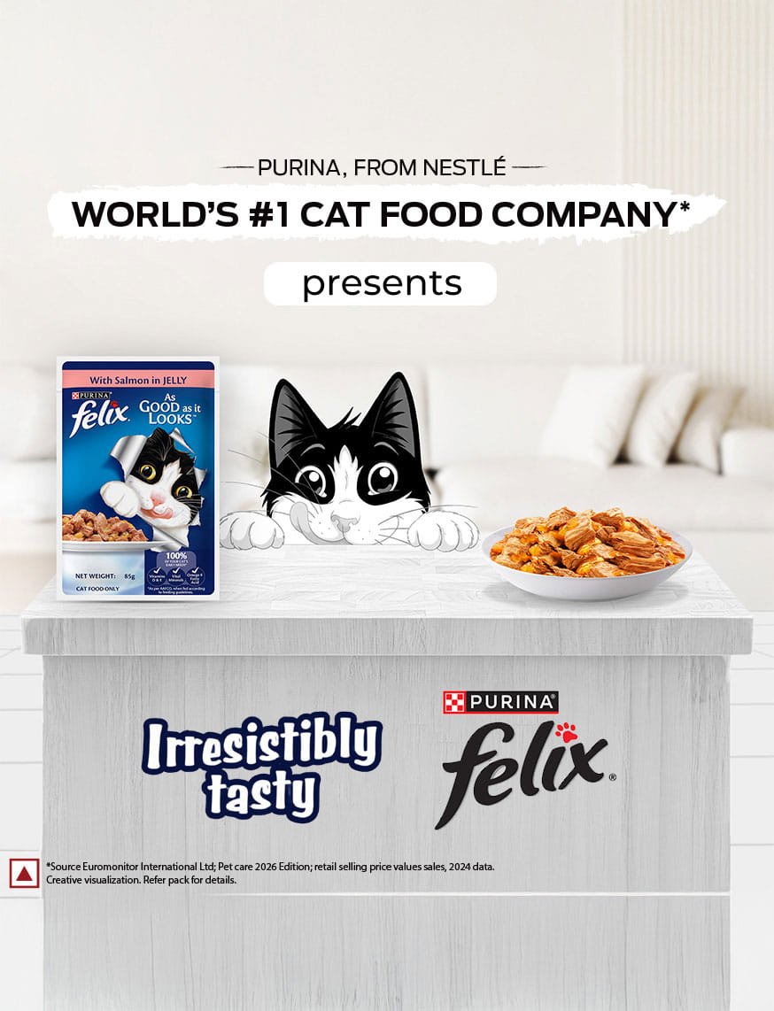 Purina Felix With Salmon In Jelly – thumbnail 6