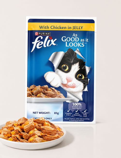 Wet Food For Adults Wet Food For Adults