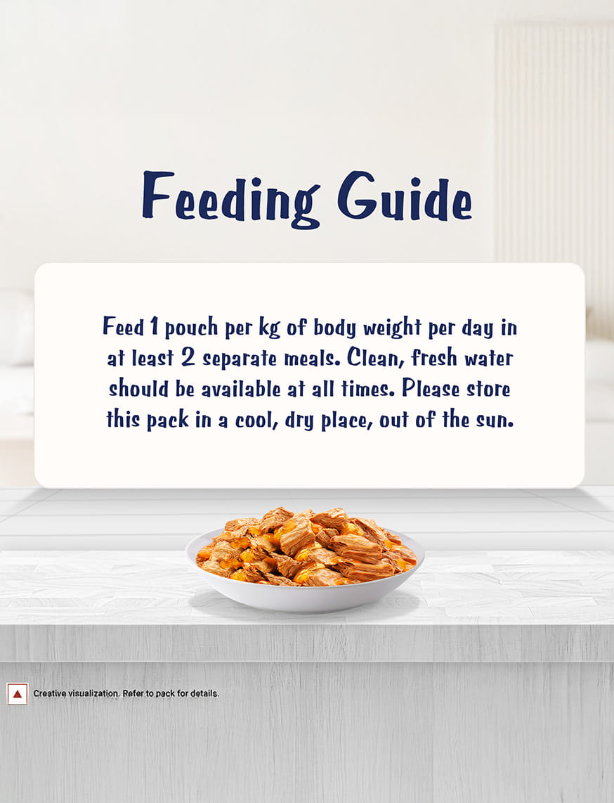 Wet Food For Adults – thumbnail 4