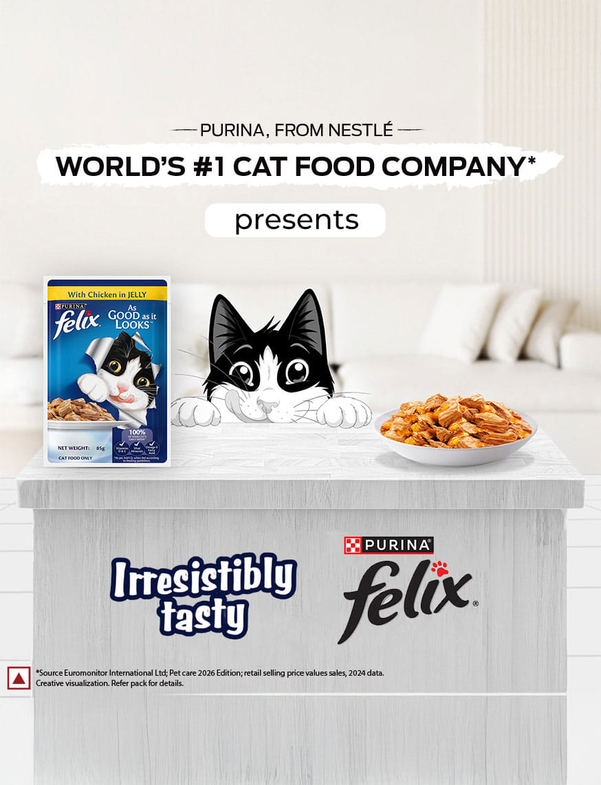 Wet Food For Adults – thumbnail 5